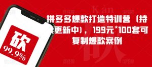 拼多多爆款打造特训营（持续更新中)，199元*100套可复制爆款案例-520资源库