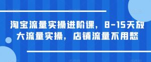 淘宝流量实操进阶课，8-15天放大流量实操，店铺流量不用愁-520资源库