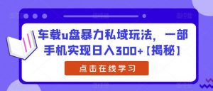 车载u盘暴力私域玩法，一部手机实现日入300+【揭秘】-520资源库