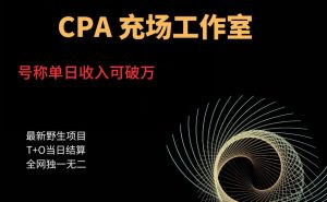 cpa充场工作室，号称单日收入10000+（揭秘）-520资源库