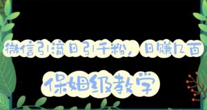 微信互推圈半自动引流方案，矩阵操作日引千人思路【详细视频教程】-520资源库