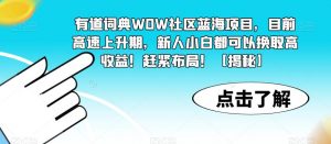 有道词典WOW社区蓝海项目，目前高速上升期，新人小白都可以换取高收益！赶紧布局！【揭秘】-520资源库