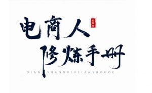 照顾酱·电商人修炼手册，从0到1，手把手教你理解淘宝运营底层逻辑-520资源库