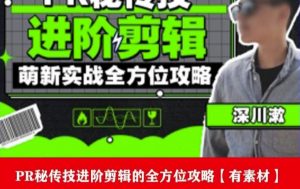 PR进阶剪辑培训班，让你快速成为剪辑大师12节视频课程+素材！-520资源库