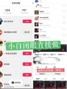 一天做完别一辈子的视频制作最近很火的《1000个野路子信息差》100%过原创【揭秘】-520资源库