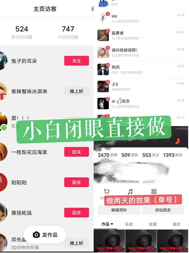 一天做完别一辈子的视频制作最近很火的《1000个野路子信息差》100%过原创【揭秘】-520资源库