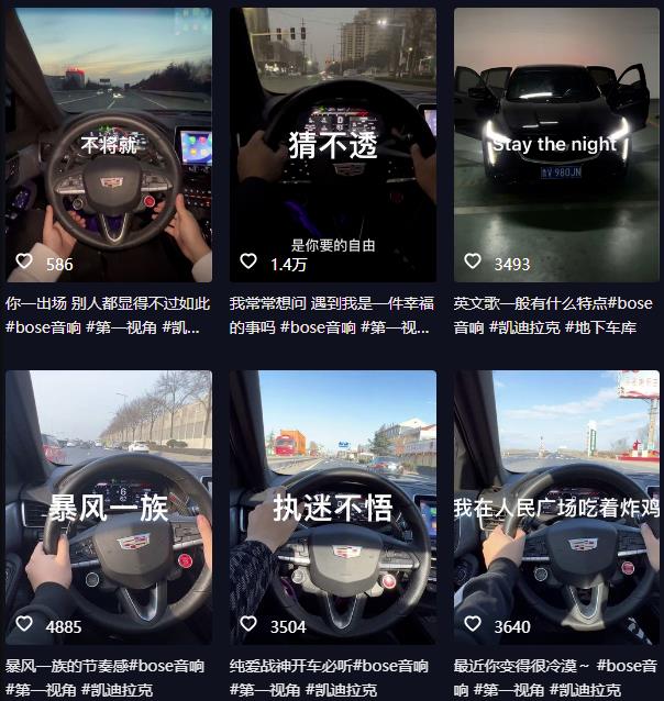 抖音开车视频项目，0基础操作，每天五分钟，月入1W+【揭秘】-520资源库