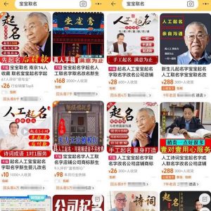 拆解小红书宝宝起名虚拟副业项目，一条龙实操玩法分享给你（教程+软件）-520资源库