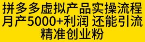 拼多多虚拟产品实操流程，月产5000+利润，还能引流精准创业粉【揭秘】-520资源库