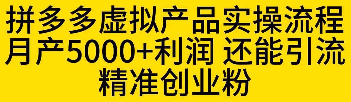 拼多多虚拟产品实操流程，月产5000+利润，还能引流精准创业粉【揭秘】-520资源库