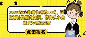 2023淘宝数据化运营14式，深度解析数据化知识，帮你从小白成长为高级运营-520资源库