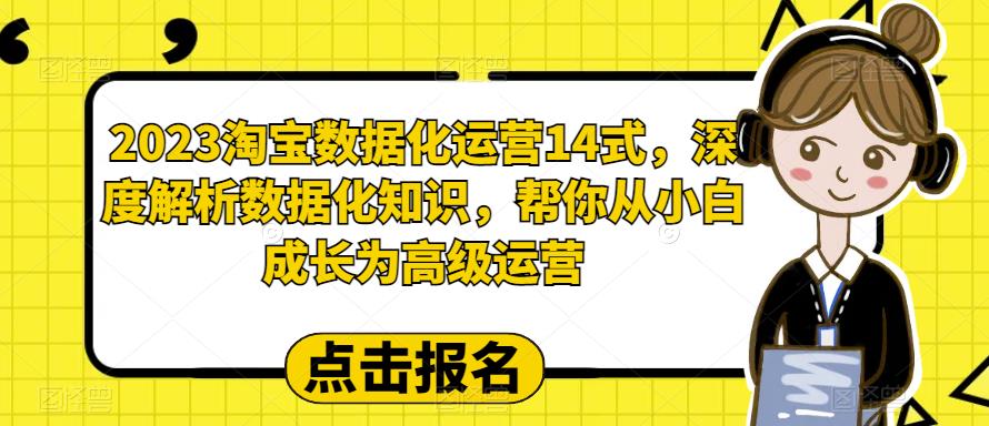 2023淘宝数据化运营14式，深度解析数据化知识，帮你从小白成长为高级运营-520资源库