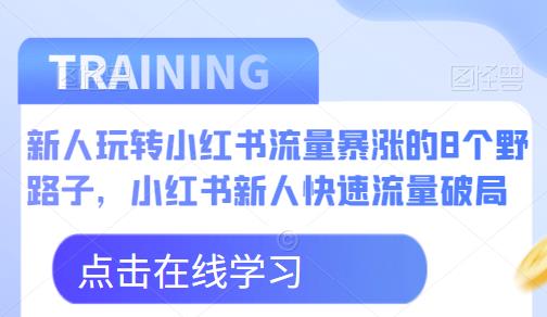 新人玩转小红书流量暴涨的8个野路子，小红书新人快速流量破局-520资源库