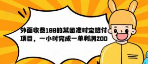 外面收费188的美团准时宝赔付项目，一小时完成一单利润200【仅揭秘】-520资源库