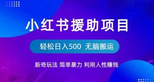小红书援助项目新奇玩法，简单暴力，无脑搬运轻松日入500【揭秘】-520资源库