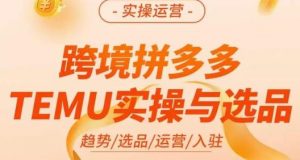 伍跃·跨境拼多多TEMU实操与选品，​趋势/选品/运营/入住（27节完整）-520资源库