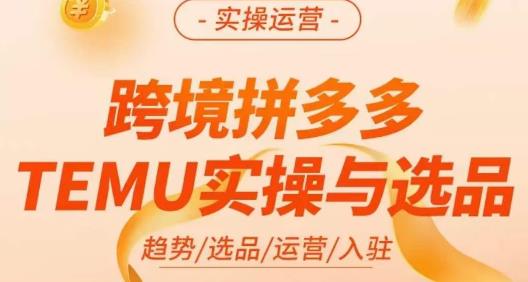 伍跃·跨境拼多多TEMU实操与选品，​趋势/选品/运营/入住（27节完整）-520资源库