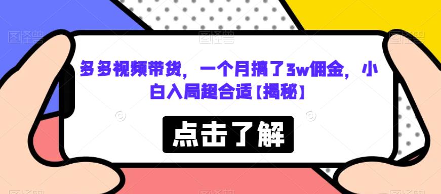 多多视频带货，一个月搞了3w佣金，小白入局超合适【揭秘】-520资源库