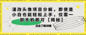 漫改头像项目分解，即使是小白也能轻松上手，仅需一部手机即可【揭秘】-520资源库
