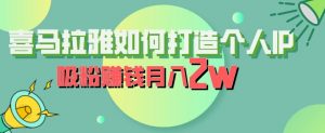 喜马拉雅如何打造个人IP，吸粉赚钱月入2W【揭秘】-520资源库