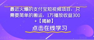 最近火爆的支付宝短视频项目，只需要简单的搬运，1万播放收益300+【揭秘】-520资源库