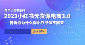 阿本小红书无货源电商3.0，告诉你为什么你小红书做不起来-520资源库