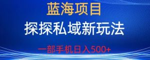 蓝海项目，探探私域新玩法，一部手机日入500+很轻松【揭秘】-520资源库