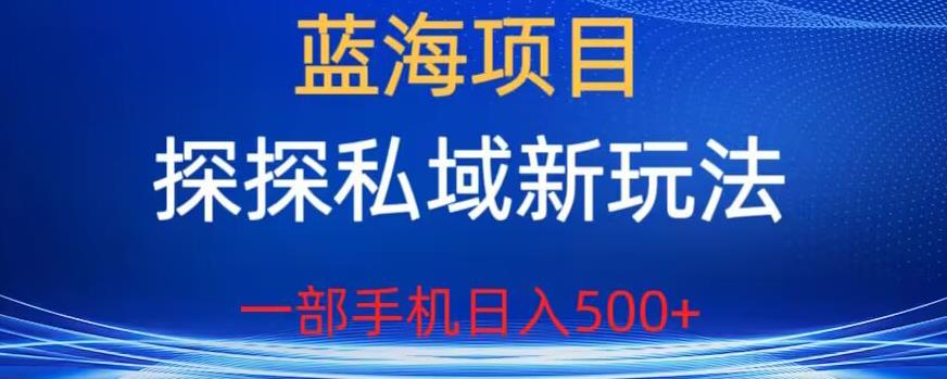 蓝海项目，探探私域新玩法，一部手机日入500+很轻松【揭秘】-520资源库