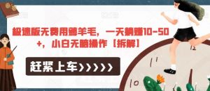 极速版无费用薅羊毛，一天躺赚10-50+，小白无脑操作【拆解】-520资源库