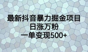 最新抖音暴力掘金项目，日涨万粉，一单变现500+【揭秘】-520资源库