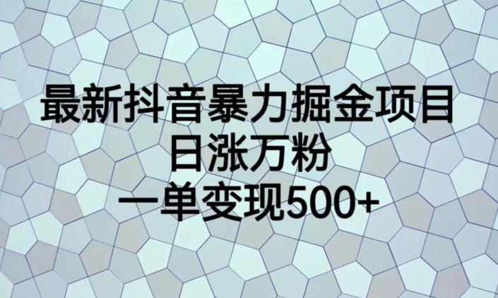 最新抖音暴力掘金项目，日涨万粉，一单变现500+【揭秘】-520资源库