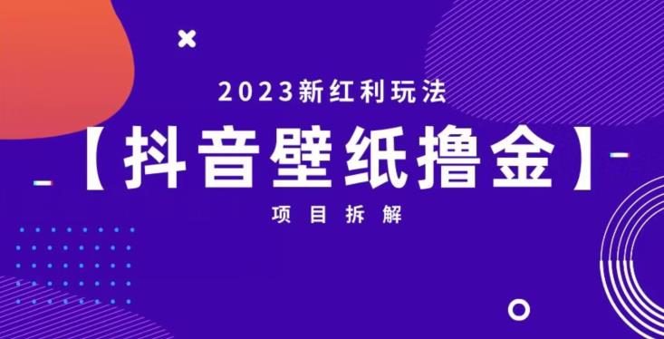 抖音壁纸小程序创作者撸金项目，2023新红利玩法【项目拆解】-520资源库