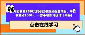外面收费2980元的小红书壁纸掘金项目，单日收益破1000+，一部手机即可操作【揭秘】-520资源库