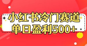 小红书冷门赛道，单日盈利500+【揭秘】-520资源库
