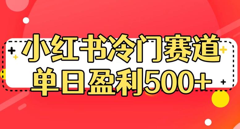 小红书冷门赛道，单日盈利500+【揭秘】-520资源库