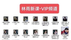 林雨新课VIP频道，玩赚私域/朋友圈/社群-520资源库