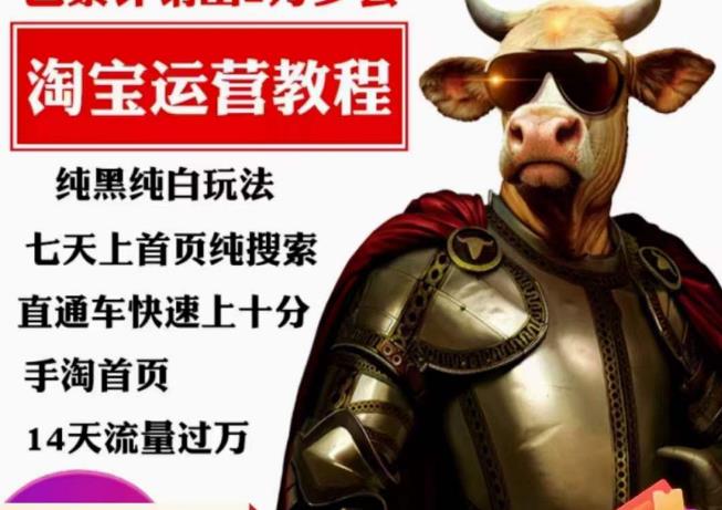 猫老师·淘系算法逆向解密，​纯黑纯白玩法，七天上首页纯搜索，手淘首页14天流量过万-520资源库