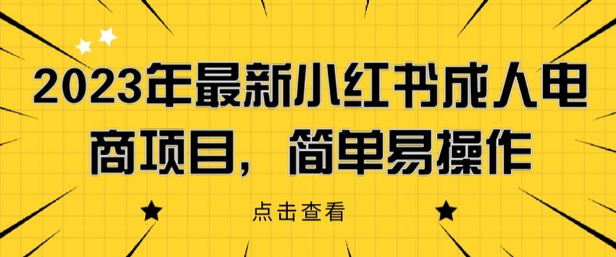 2023年最新小红书成人电商项目，简单易操作【详细教程】【揭秘】-520资源库