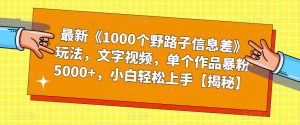 最新《1000个野路子信息差》玩法，文字视频，单个作品暴粉5000+，小白轻松上手【揭秘】-520资源库