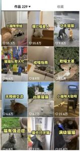 拆解：抖音盘点类中视频变现副业项目，视频版一条龙大解析分享给你-520资源库