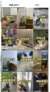 拆解抖音盘点类中视频变现副业项目，视频版一条龙大解析分享给你【视频课程】-520资源库