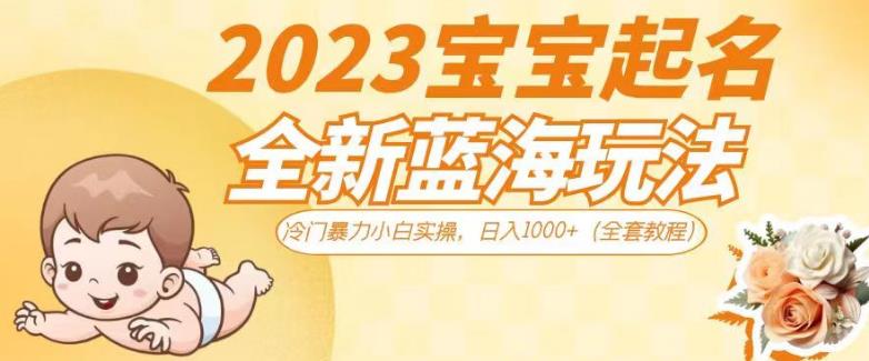 2023宝宝起名全新蓝海玩法，冷门暴力小白实操，日入1000+（全套教程）【揭秘】-520资源库