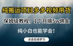 纯搬运项目多多视频带货保姆级教程，1个月搞5w佣金，纯小白也能学会【揭秘】-520资源库
