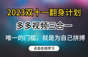 2023双十一翻身计划，多多视频带货三合一玩法教程【揭秘】-520资源库