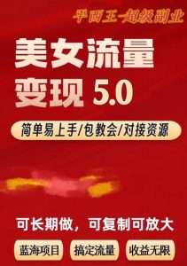 TK美女短视频变现项目无限复制（升级版），全网最高性价比项目【揭秘】-520资源库