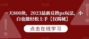 一天800块，2023最新反撸pz玩法，小白也能轻松上手【仅揭秘】-520资源库