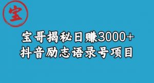 宝哥揭秘日赚3000+抖音励志语录号短视频变现项目-520资源库