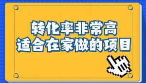 小红书虚拟电商项目：从小白到精英（视频课程+交付手册）-520资源库
