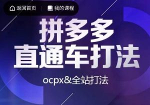 互力·拼多多直通车打法，ocpx&全站打法-520资源库
