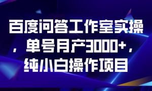 百度问答工作室实操，单号月产3000+，纯小白操作项目【揭秘】-520资源库